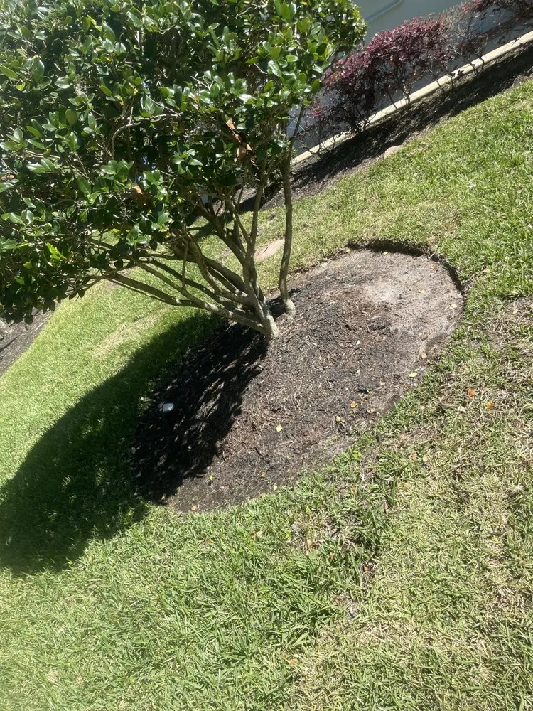 Affordable landscape design in Ormond Beach, FL - JD Service