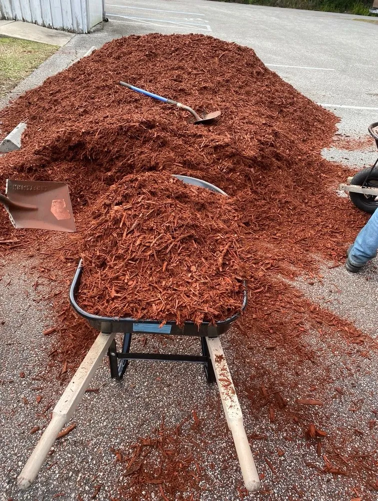 Expert yard cleanup service for homes in Ormond Beach, FL by JD Service