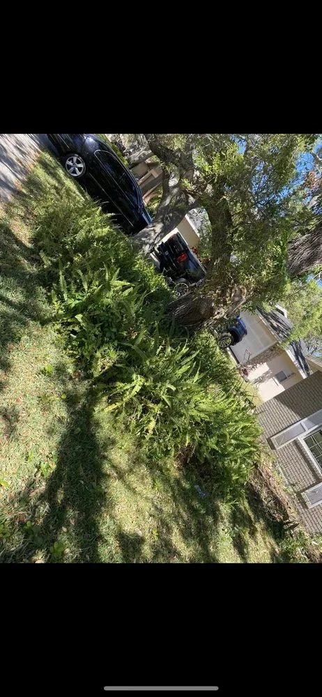 Trusted landscape installation for outdoor upgrades across Ormond Beach, FL - JD Service