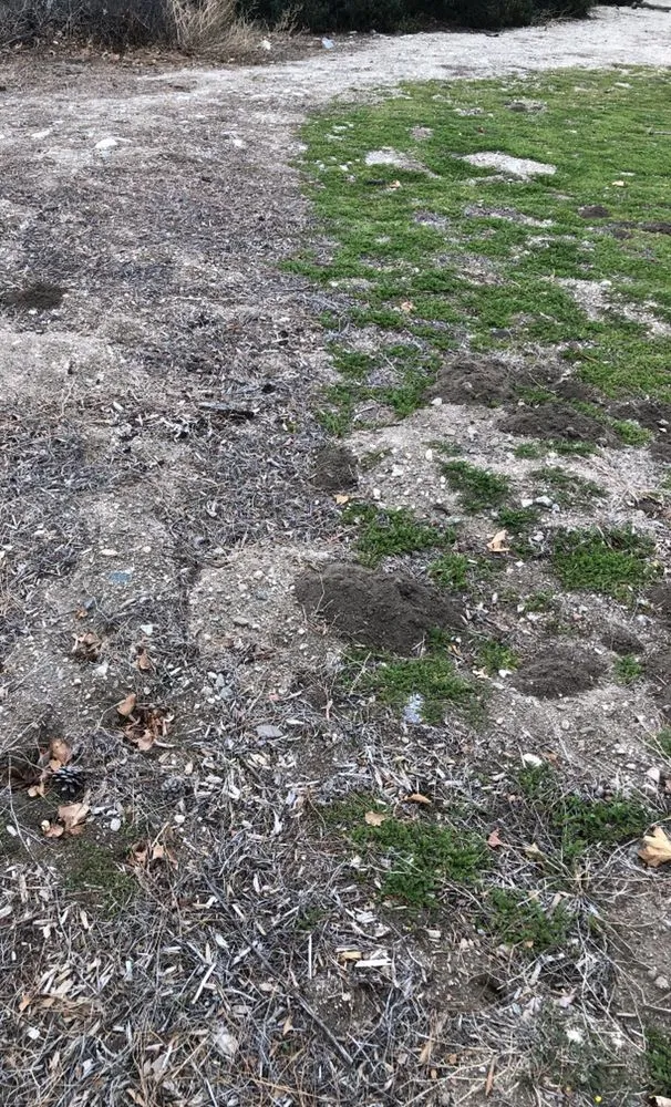 Expert landscape installation in Highland, CA by JD Spray Solutions