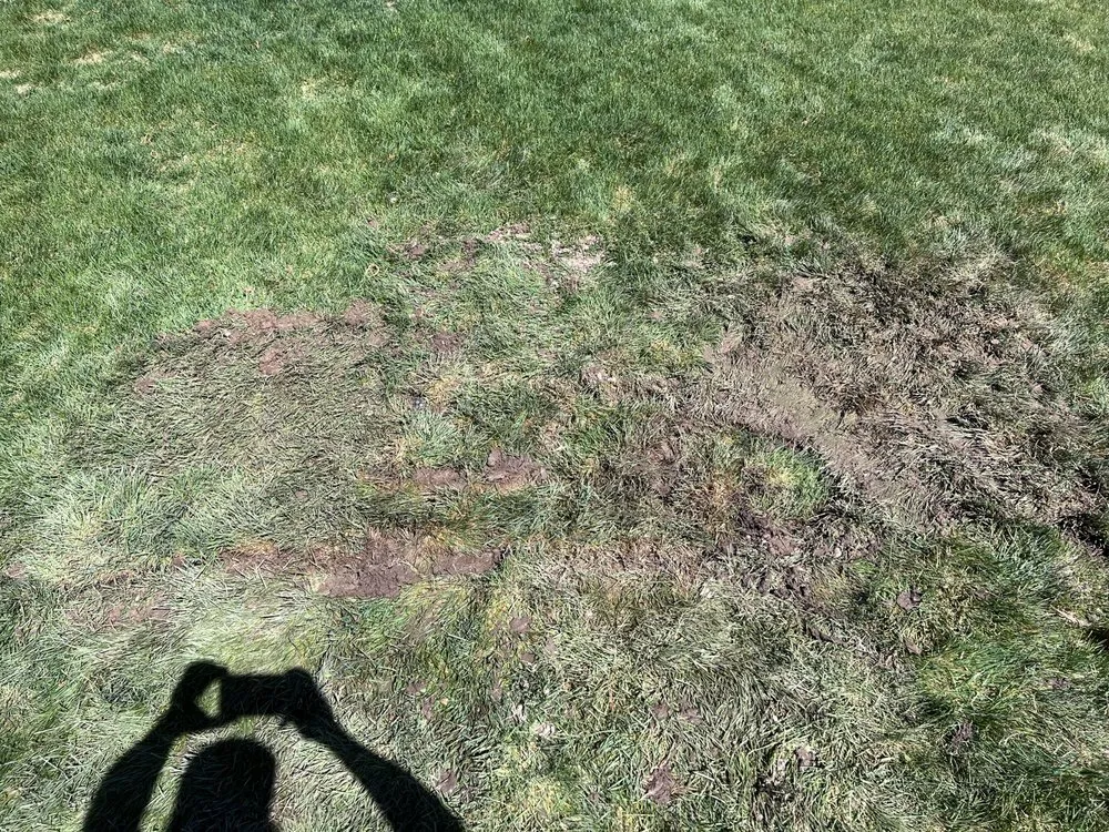 Professional yard maintenance for residential properties in Salt Lake City, UT by JD Sprinkler Services