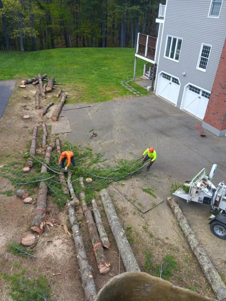 Trusted lawn care service near you in Middleton, MA by JD Tree & Landscape Services