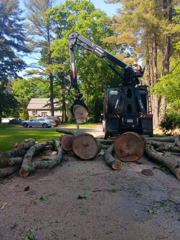 Custom yard cleanup service in Middleton, MA - JD Tree & Landscape Services