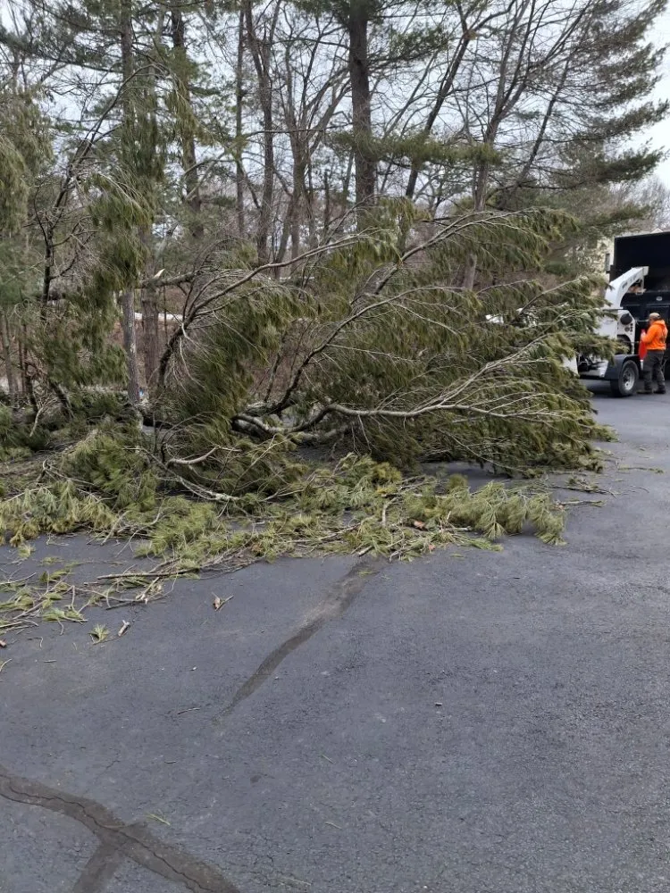 Affordable lawn care service in Middleton, MA by JD Tree & Landscape Services