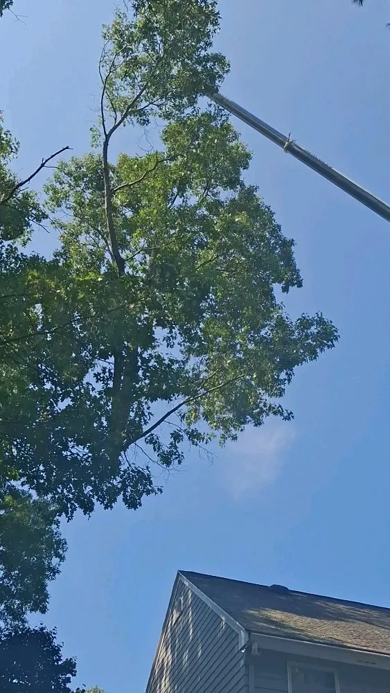 Affordable landscape design experts serving Middleton, MA - JD Tree & Landscape Services