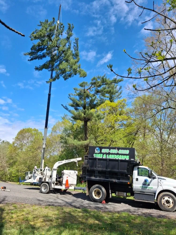 Local lawn care service experts serving Middleton, MA - JD Tree & Landscape Services