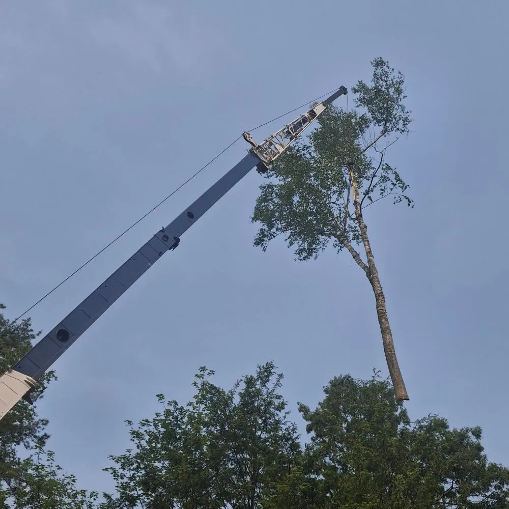 Expert outdoor landscaping experts serving Middleton, MA - JD Tree & Landscape Services