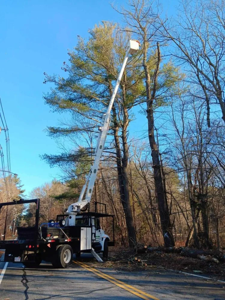 Trusted outdoor landscaping in Middleton, MA by JD Tree & Landscape Services