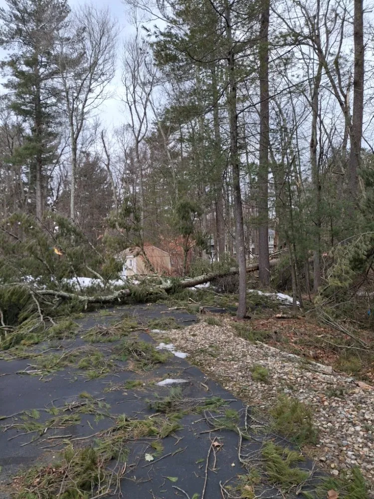 Professional residential landscaping experts serving Middleton, MA - JD Tree & Landscape Services