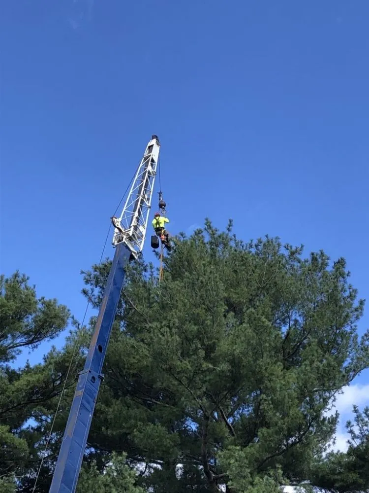 Reliable landscape design for beautiful yards in Middleton, MA by JD Tree & Landscape Services