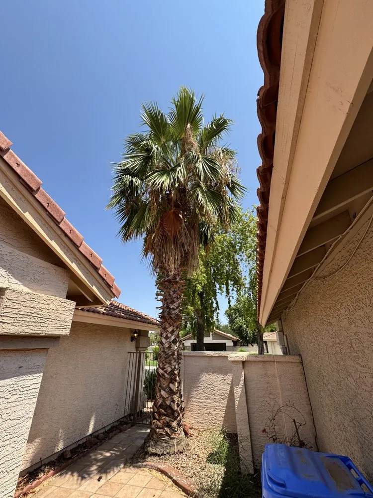 Trusted lawn care service with custom design across Phoenix, AZ - JD Valley Landscaping