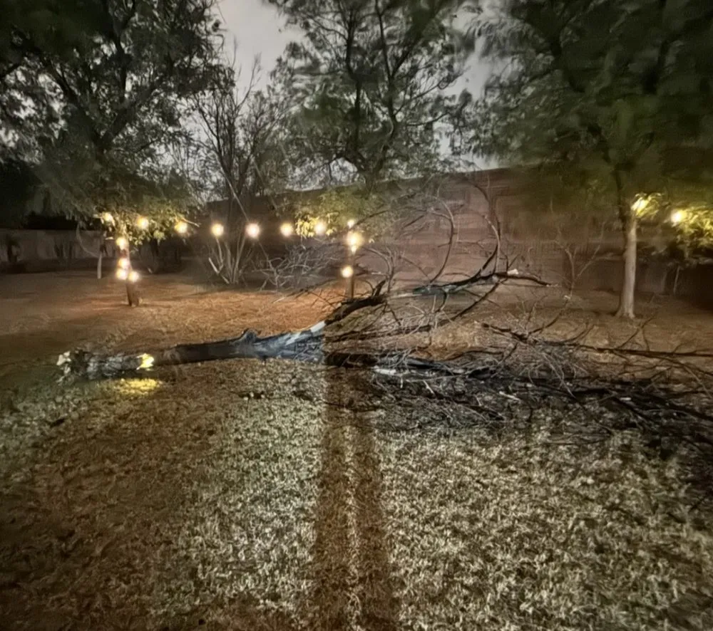 Reliable landscape design in Phoenix, AZ by JD Valley Landscaping