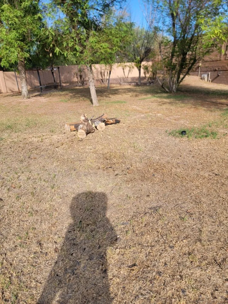 Top-rated outdoor landscaping near you in Phoenix, AZ by JD Valley Landscaping