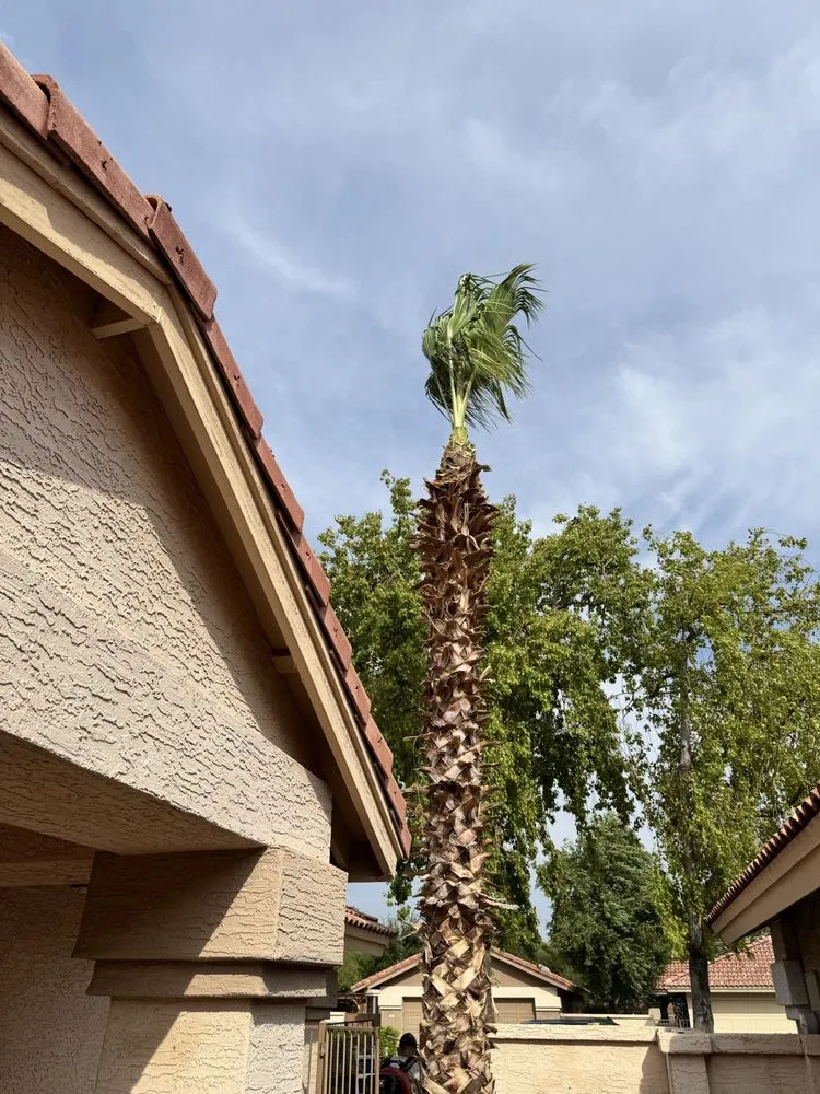 Trusted landscape design in Phoenix, AZ - JD Valley Landscaping