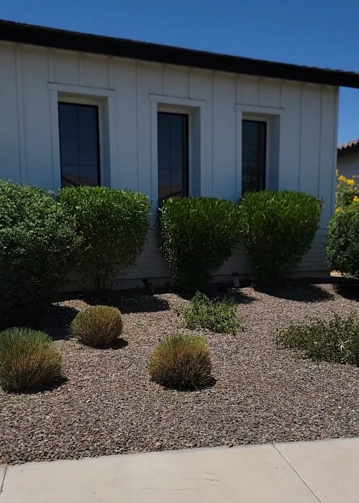 Professional yard maintenance for outdoor upgrades in Phoenix, AZ by JD Valley Landscaping