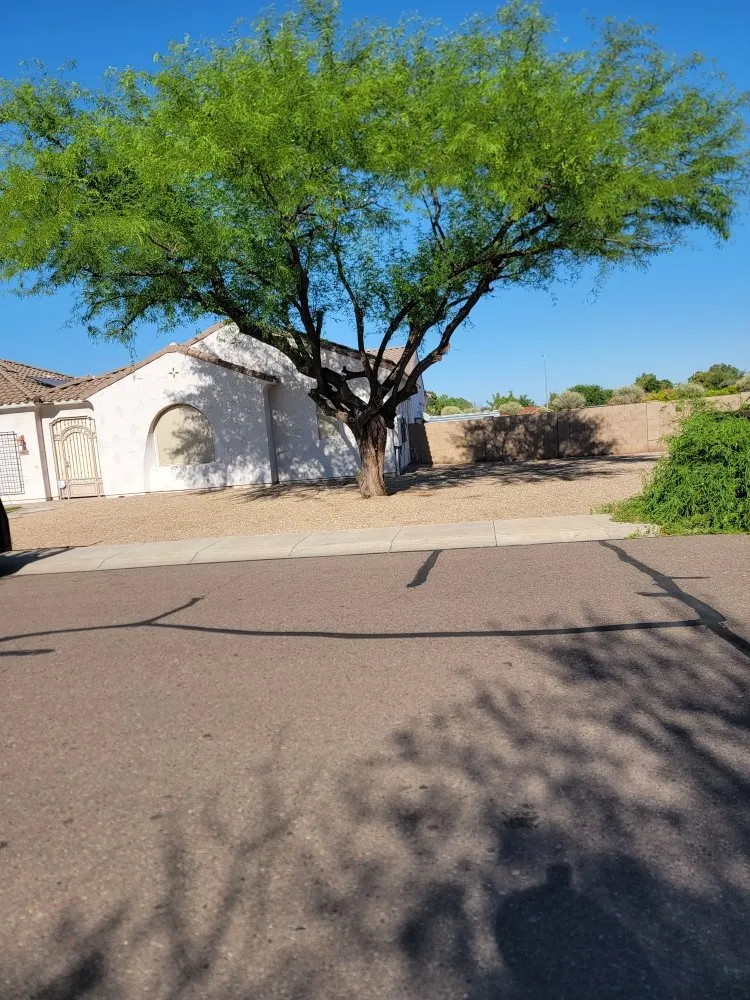 Affordable garden landscaping experts serving Phoenix, AZ - JD Valley Landscaping