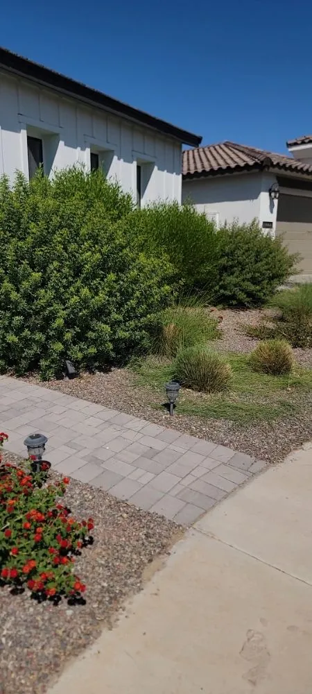 Professional landscape installation experts serving Phoenix, AZ - JD Valley Landscaping