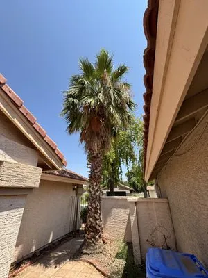 JD Valley Landscaping Logo