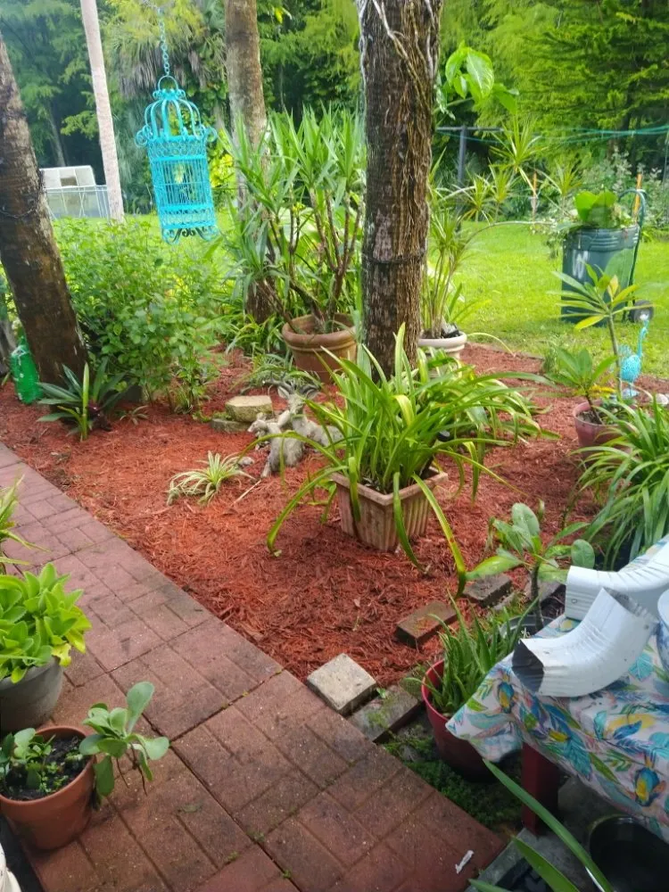 Custom lawn care service in North Fort Myers, FL - J&D Wizard Of Odd