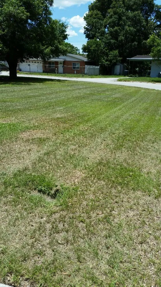 Expert outdoor landscaping experts serving Lakeland, FL - JDB'S Quality Lawn Service