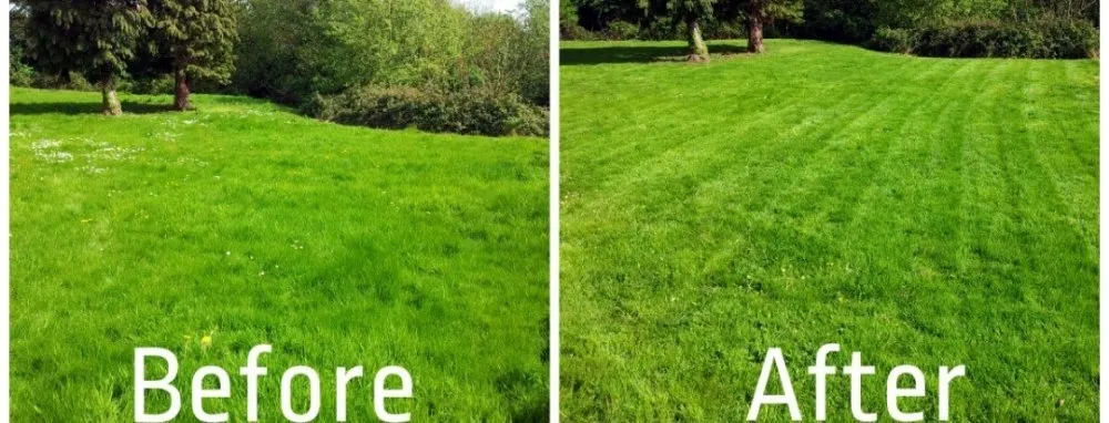 Local lawn care service for residential properties in Blackwood, NJ by JDC Exterior