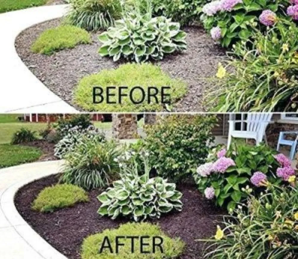 Local garden landscaping for year-round maintenance in Blackwood, NJ by JDC Exterior