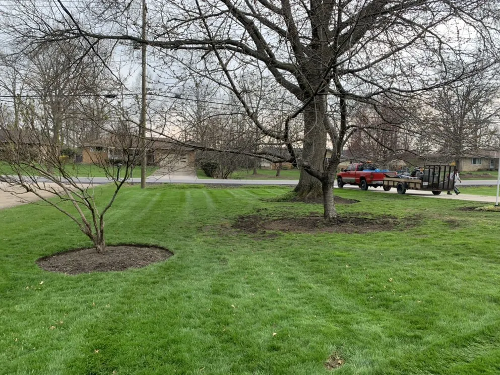 Affordable yard cleanup service in Maple Heights, OH - JDC Landscaping