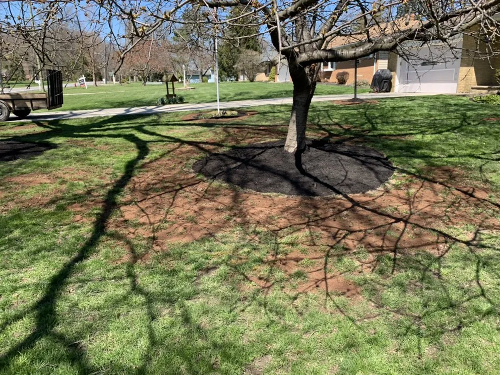 Expert outdoor landscaping in Maple Heights, OH by JDC Landscaping