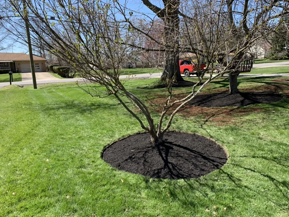 Expert yard maintenance in Maple Heights, OH - JDC Landscaping