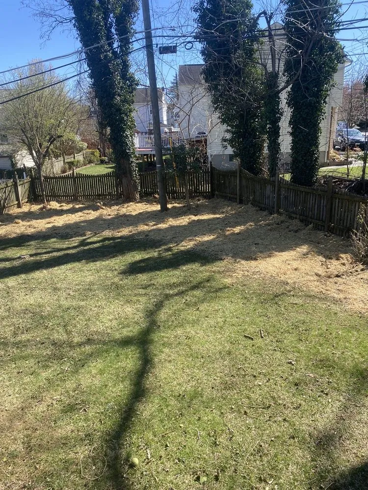 Expert residential landscaping in Baltimore, MD by JDF Landscaping Service