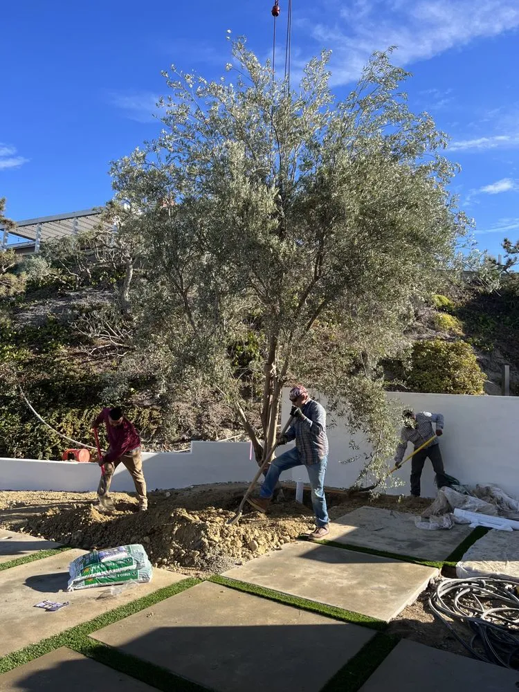 Trusted landscape design for outdoor upgrades across Costa Mesa, CA - JDG Landscaping