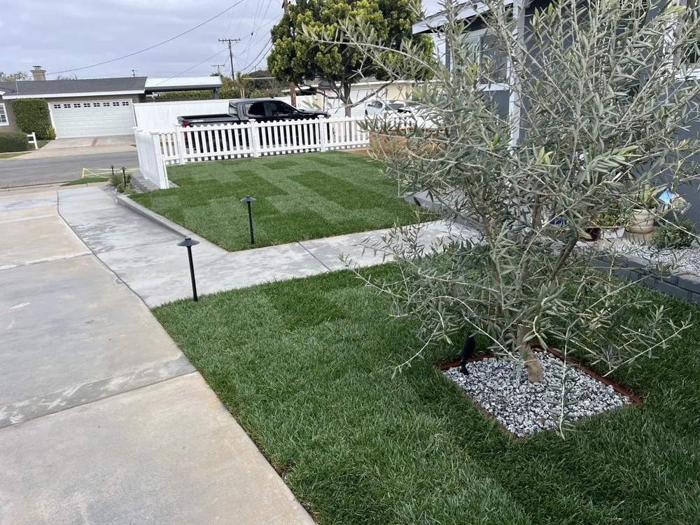 Local yard cleanup service experts serving Costa Mesa, CA - JDG Landscaping