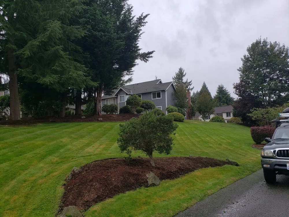 Local landscape installation experts serving Burien, WA - Jdg Repair