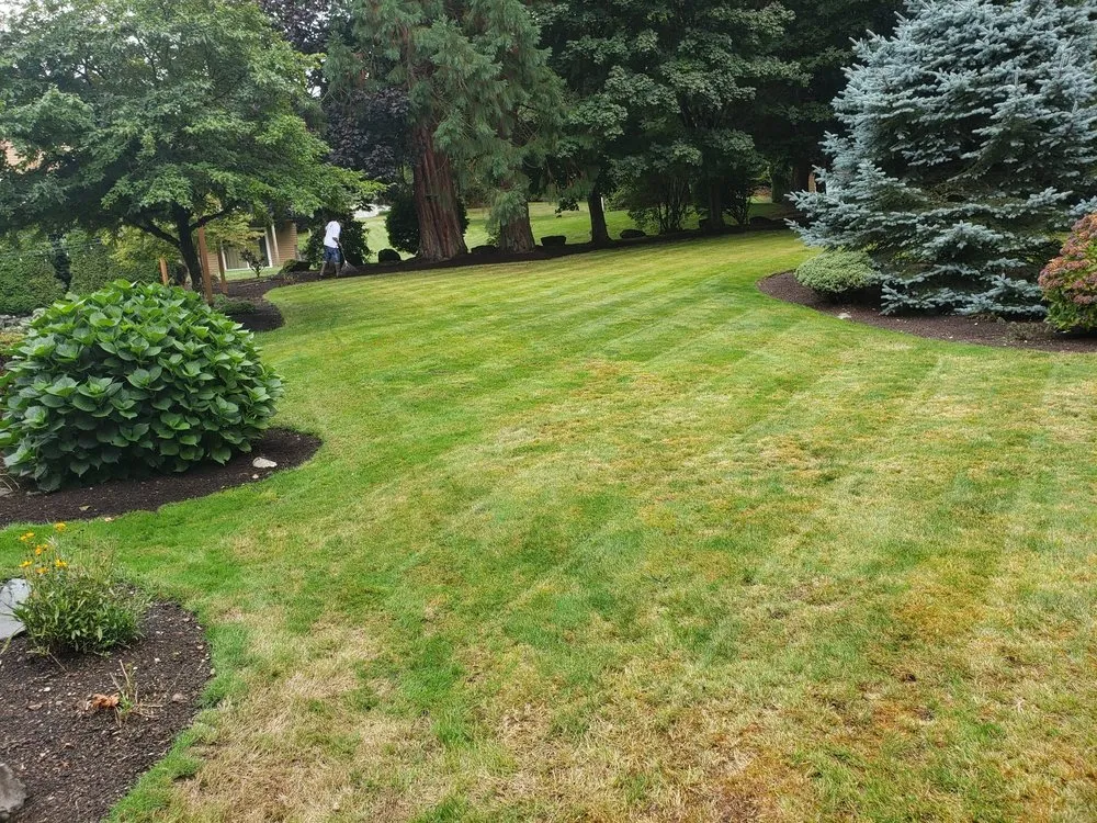 Affordable outdoor landscaping in Burien, WA - Jdg Repair