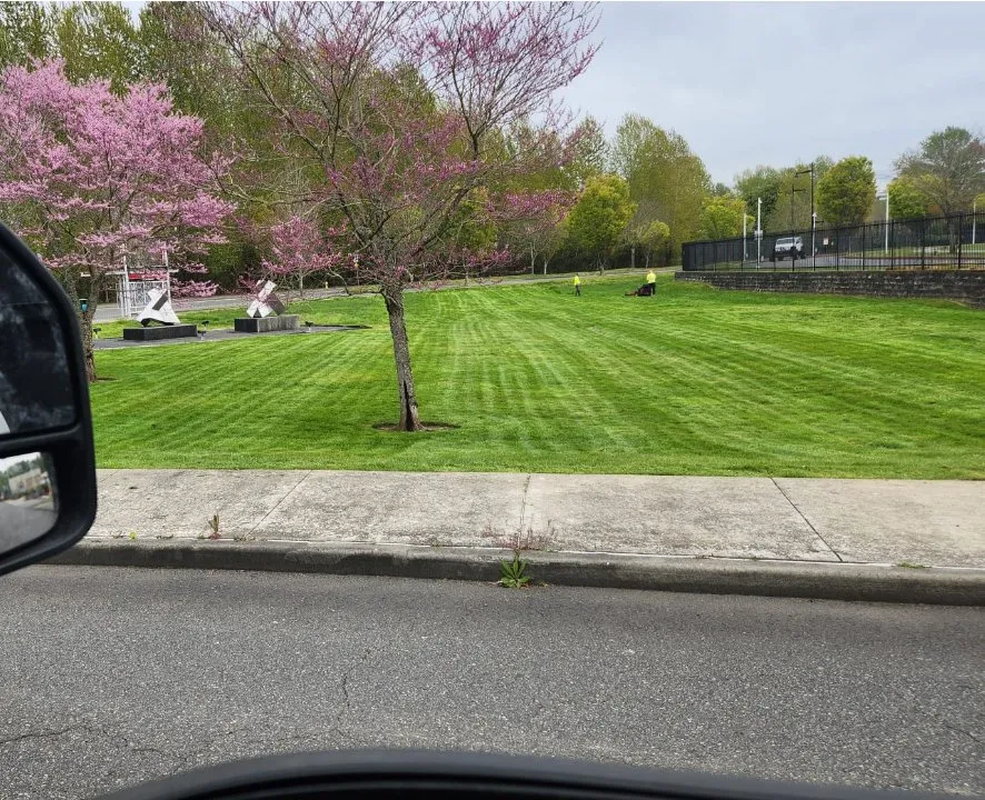 Trusted landscape installation for homes in Burien, WA by Jdg Repair