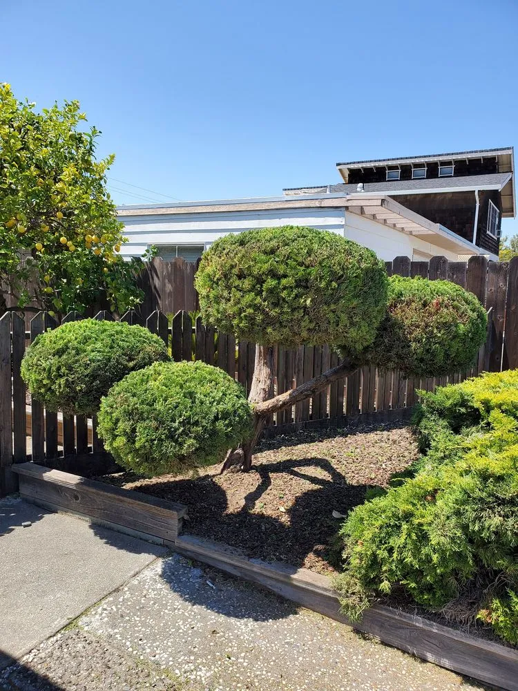 Trusted landscape installation experts serving Redwood City, CA - JDH Garden Services