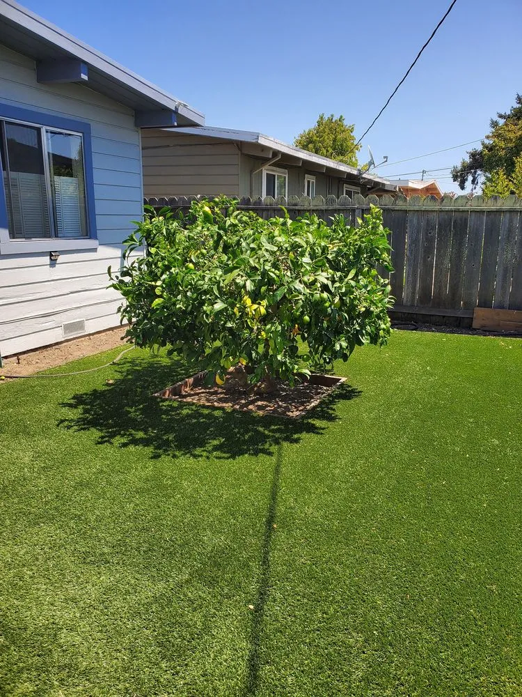 Trusted outdoor landscaping for year-round maintenance in Redwood City, CA by JDH Garden Services