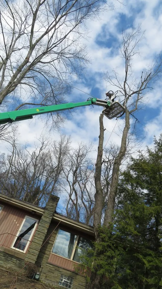 Local garden landscaping for beautiful yards in Pittsburgh, PA by JDH Landscapes