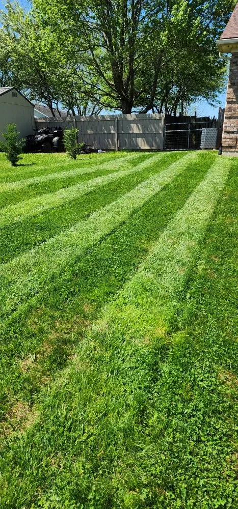 Reliable landscaping services in Georgetown, KY - JDH Lawn Care