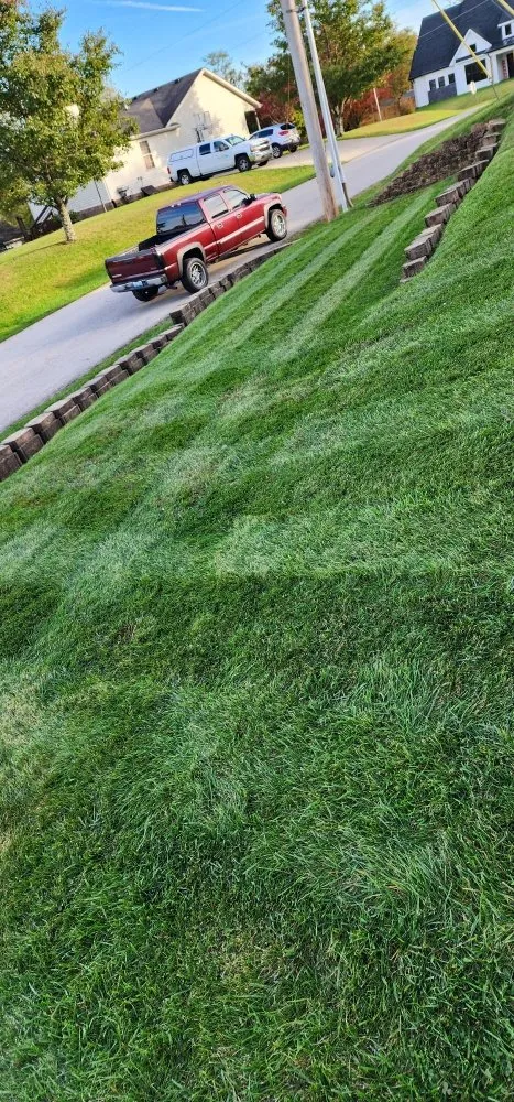 Custom yard cleanup service for year-round maintenance in Georgetown, KY by JDH Lawn Care