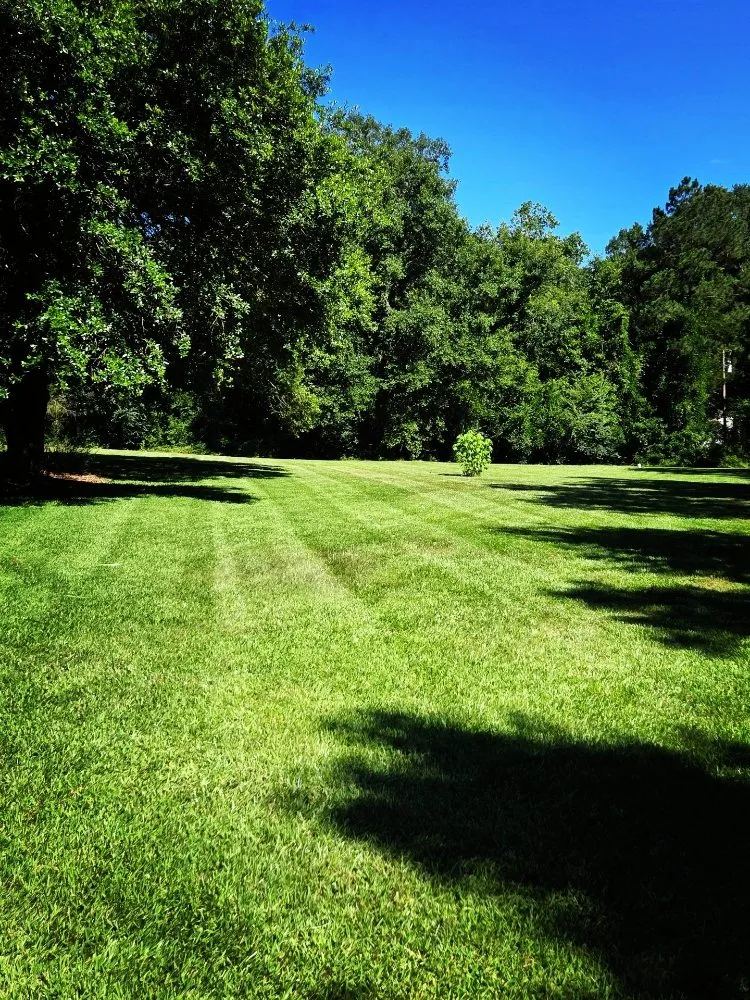 Top-rated landscaping services with custom design across Hornbeck, LA - JDH Lawn Care