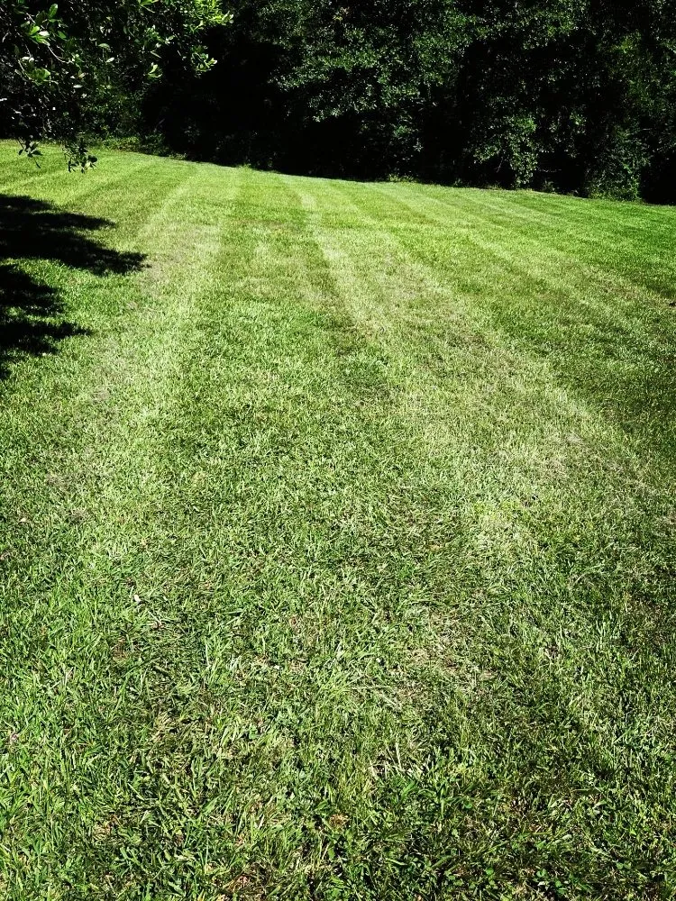 Trusted lawn care service experts serving Hornbeck, LA - JDH Lawn Care