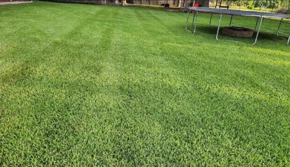 Professional landscape design with custom design across Hornbeck, LA - JDH Lawn Care