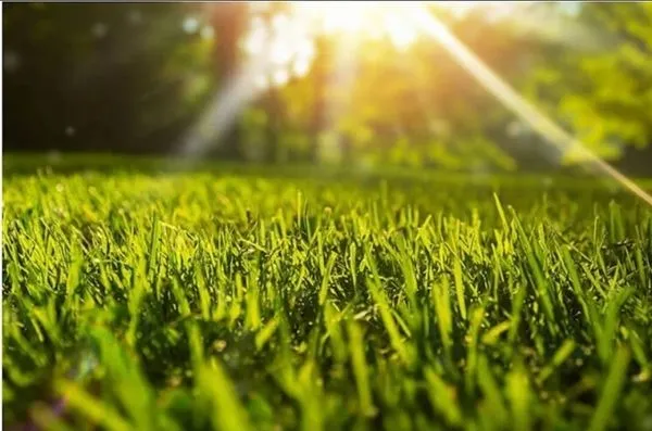 JDH Lawn Care