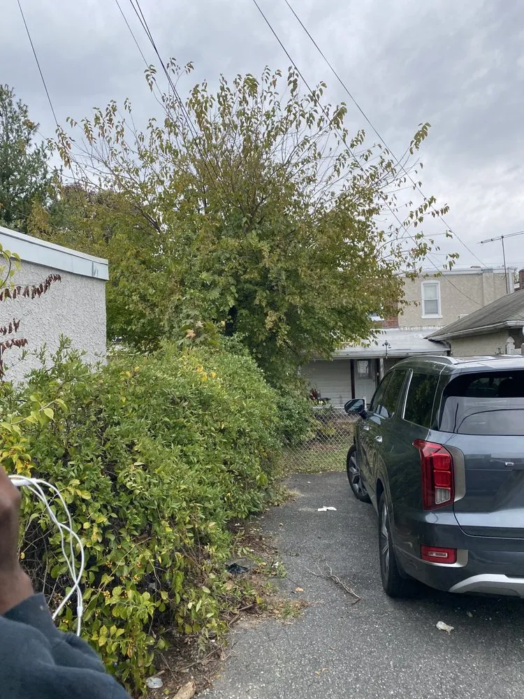 Expert lawn mowing service for year-round maintenance in Clifton Heights, PA by JDI Landscaping