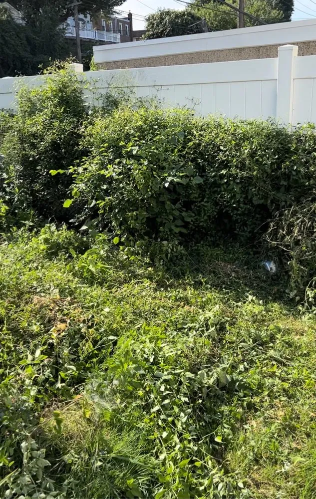 Professional lawn mowing service for residential properties across Clifton Heights, PA - JDI Landscaping