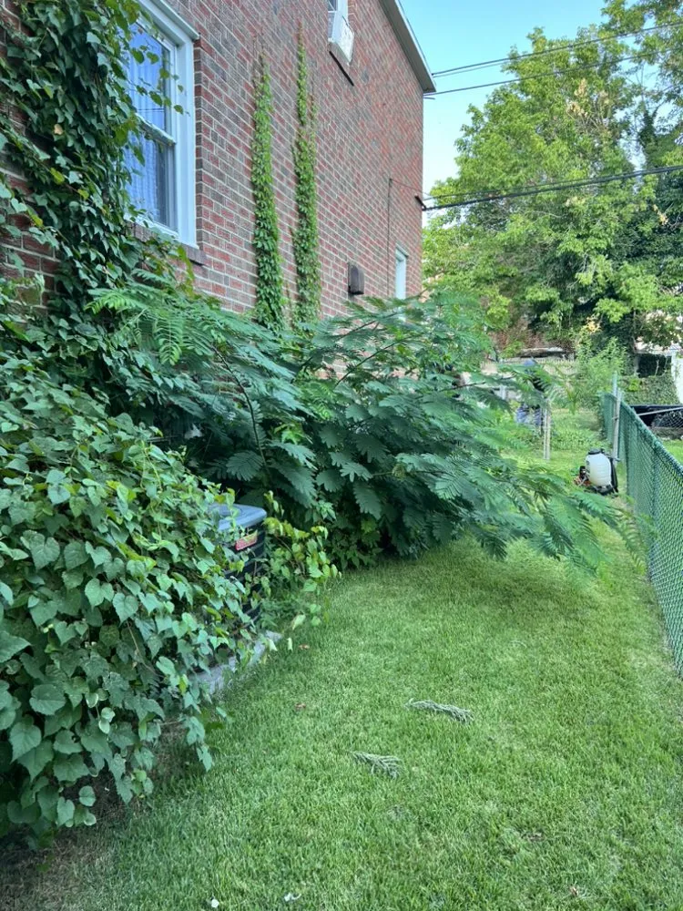 Trusted lawn mowing service in Clifton Heights, PA - JDI Landscaping