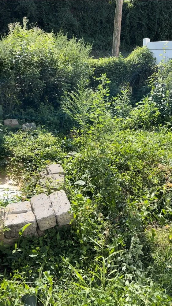 Local lawn care service for year-round maintenance across Clifton Heights, PA - JDI Landscaping