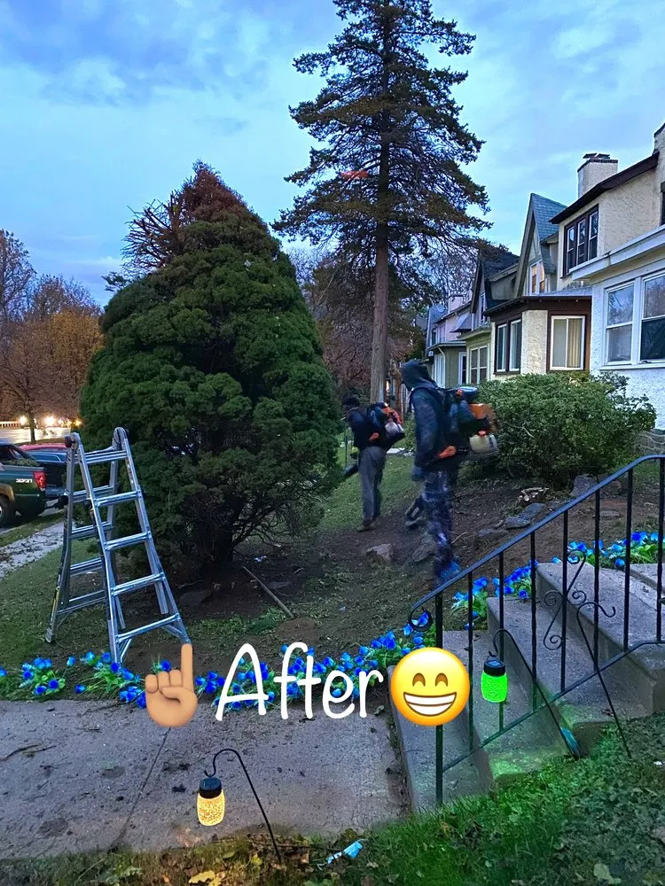 Affordable landscape design experts serving Clifton Heights, PA - JDI Landscaping