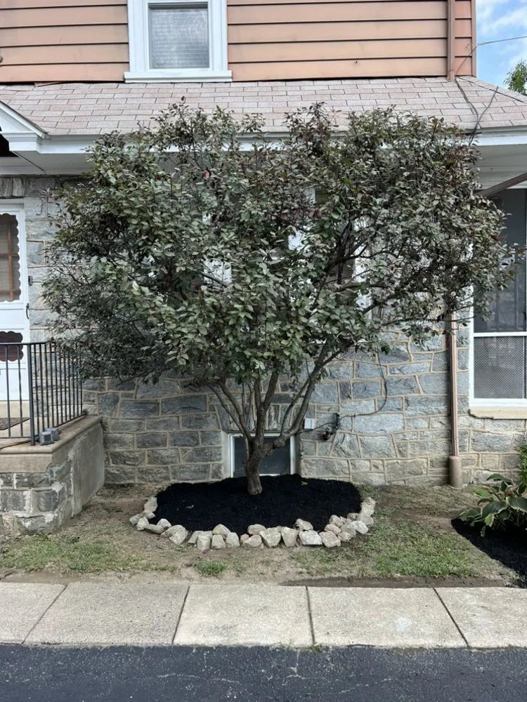 Trusted yard cleanup service in Clifton Heights, PA - JDI Landscaping